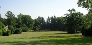 Cure per un prato perfetto 1121 0 Cure per un prato perfetto.JPG